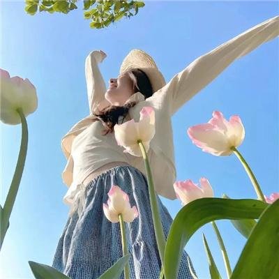 26种死法2 在线观看封面