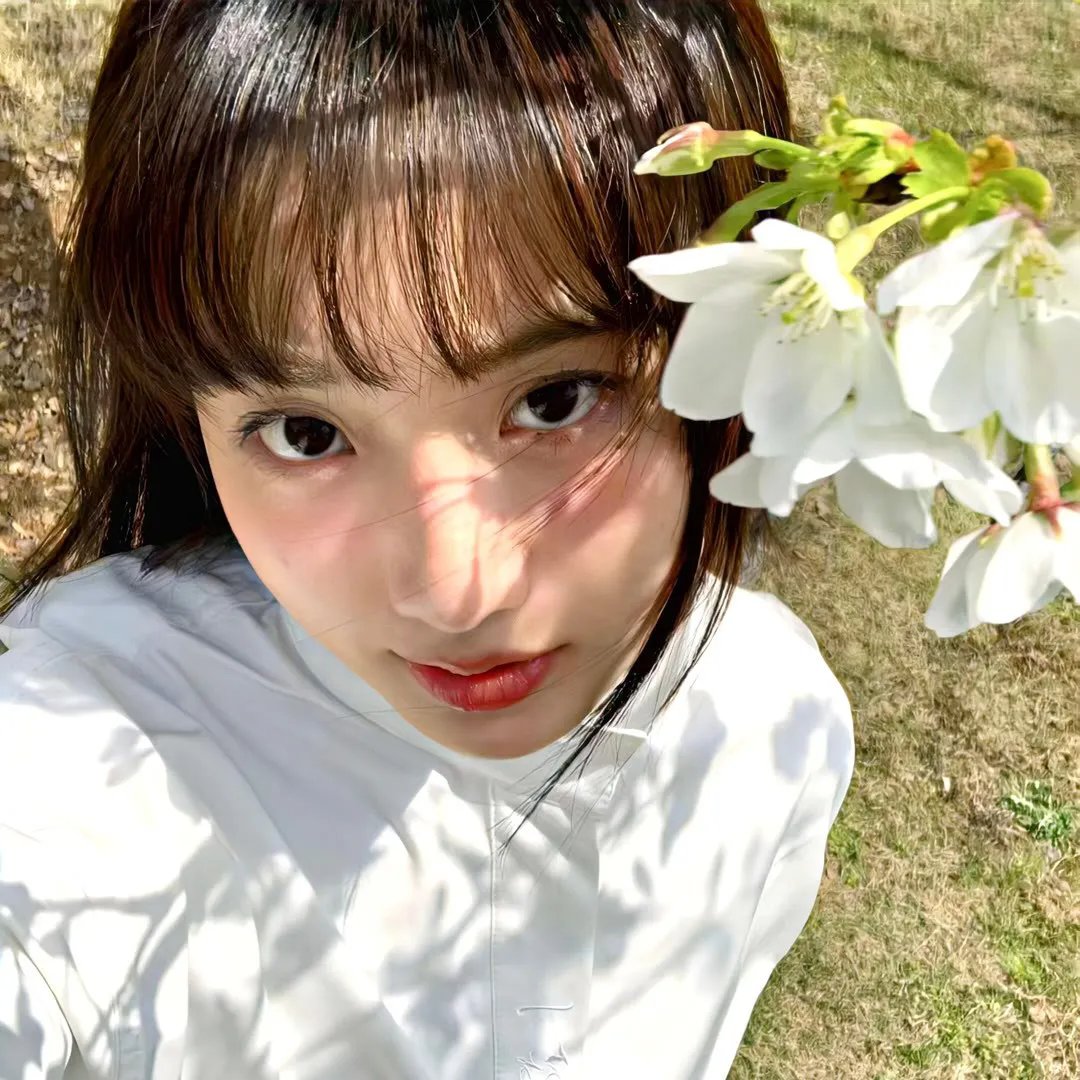 未完成的机械钢琴曲 在线观看封面