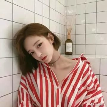 狗仔窥视界 在线观看封面